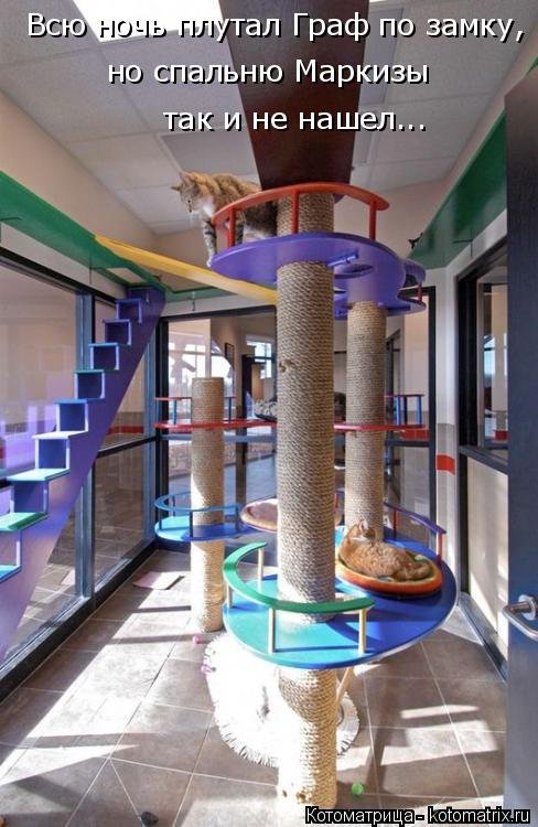 Новая котоматрица на Бугаге (33 фото) Новая котоматрица на Бугаге (33 фото)