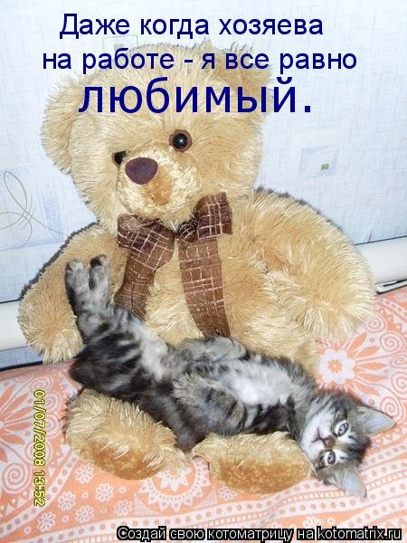 Новая котоматрица на Бугаге (33 фото) Новая котоматрица на Бугаге (33 фото)