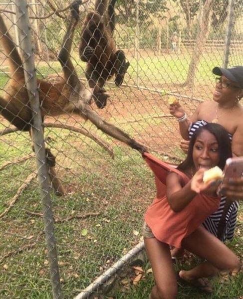 Случайно-удачные стоп-кадры (18 шт) Случайно-удачные стоп-кадры (18 шт)