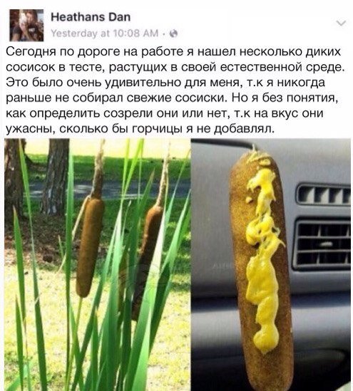 Прикольные комментарии и СМС-диалоги (23 фото) Прикольные комментарии и СМС-диалоги (23 фото)