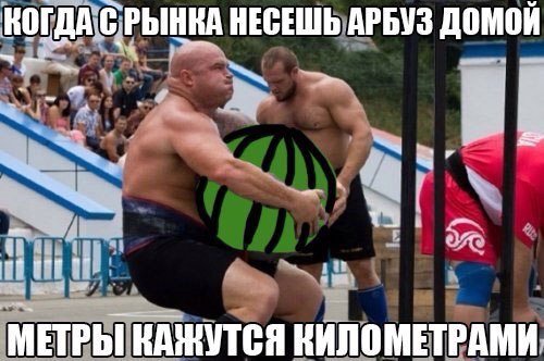 Прикольные фотомемы для настроения (23 шт) Прикольные фотомемы для настроения (23 шт)