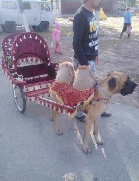 Новые прикольные картинки (30 шт) Новые прикольные картинки (30 шт)