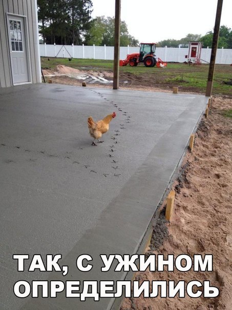 Новые прикольные картинки (30 шт) Новые прикольные картинки (30 шт)