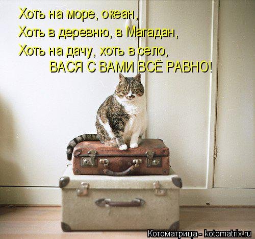 Новые котоматрицы для настроения (32 шт) Новые котоматрицы для настроения (32 шт)