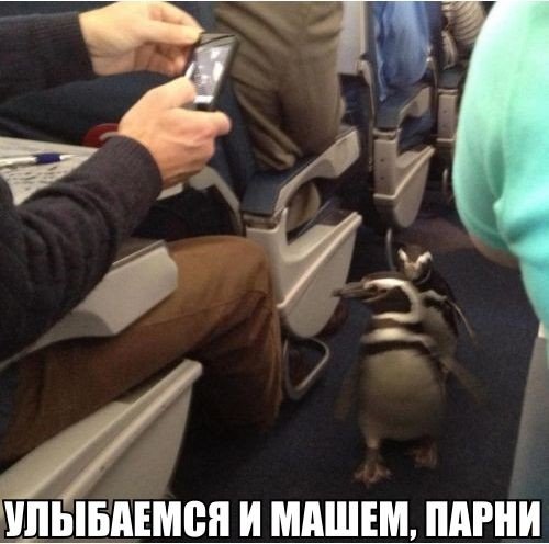 Мемы на любой вкус (16 шт) Мемы на любой вкус (16 шт)