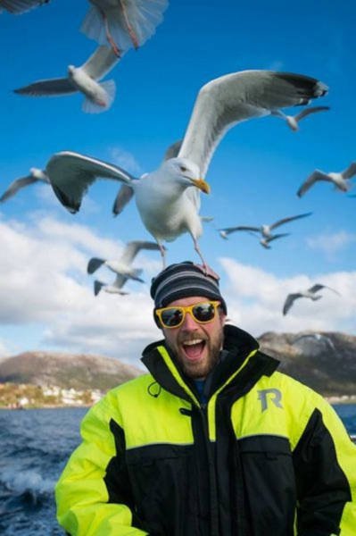 Случайно-удачные снимки (29 шт) Случайно-удачные снимки (29 шт)