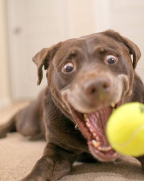 Случайно-удачные снимки (29 шт) Случайно-удачные снимки (29 шт)