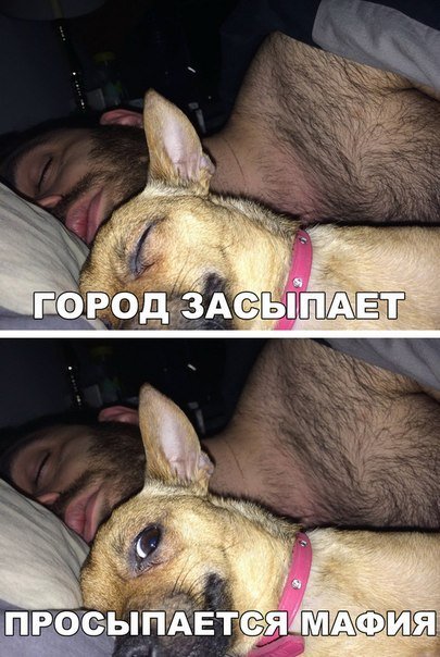 Прикольные фотомемы для всех (24 шт) Прикольные фотомемы для всех (24 шт)