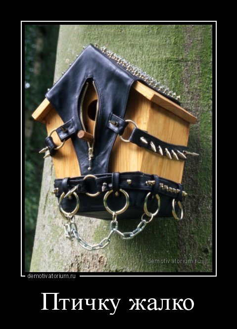 Коллекция прикольных демотиваторов (16 шт) Коллекция прикольных демотиваторов (16 шт)