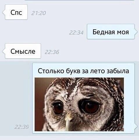 Новые прикольные комментарии на Бугаге (25 фото) Новые прикольные комментарии на Бугаге (25 фото)