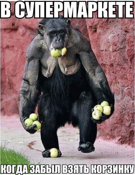 Прикольные фотомемы на любой вкус (21 шт) Прикольные фотомемы на любой вкус (21 шт)