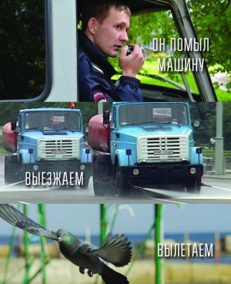 Прикольные картинки выходного дня (50 шт)