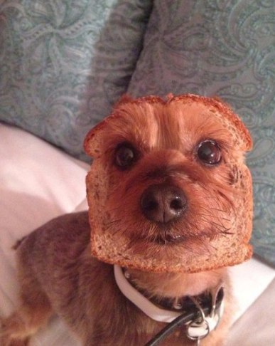 Позитивные фото и картинки (49 шт) Позитивные фото и картинки (49 шт)