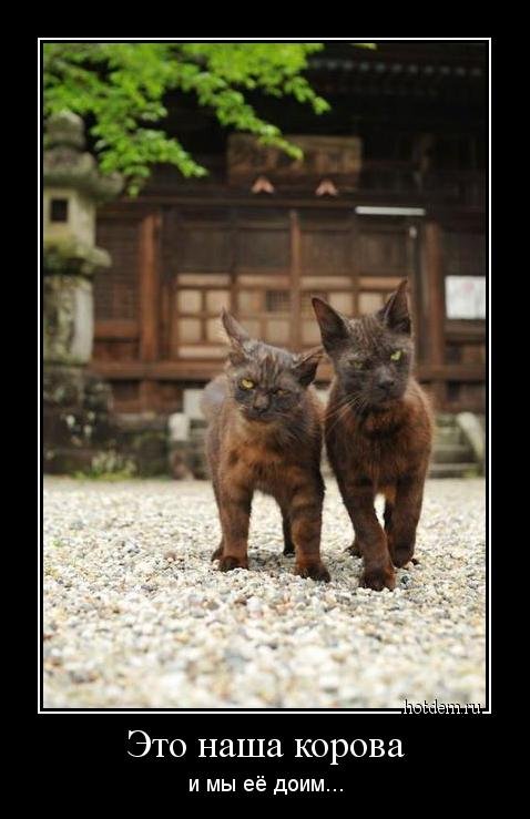 Демотиваторы на любой вкус (17 шт) Демотиваторы на любой вкус (17 шт)