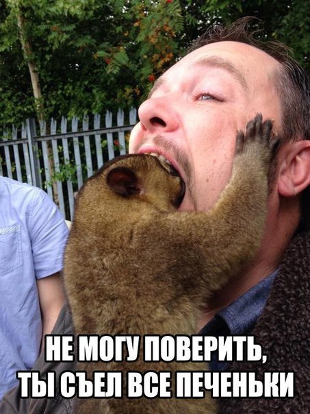 Ночные фото-приколы (47 шт) Ночные фото-приколы (47 шт)