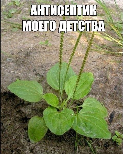 Ночные фото-приколы (47 шт) Ночные фото-приколы (47 шт)