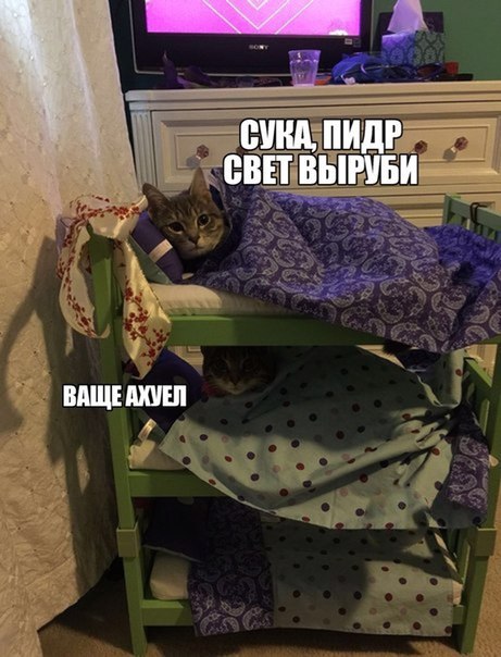 Прикольные картинки в небольшом количестве (24 шт) Прикольные картинки в небольшом количестве (24 шт)