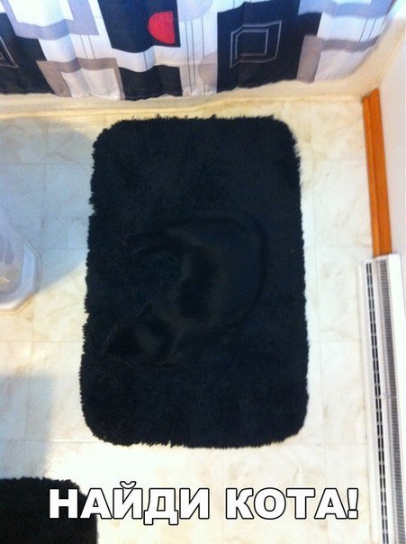 Прикольные фотомемы в новом сборнике (24 шт) Прикольные фотомемы в новом сборнике (24 шт)