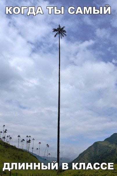 Прикольные фотомемы в новом сборнике (24 шт) Прикольные фотомемы в новом сборнике (24 шт)