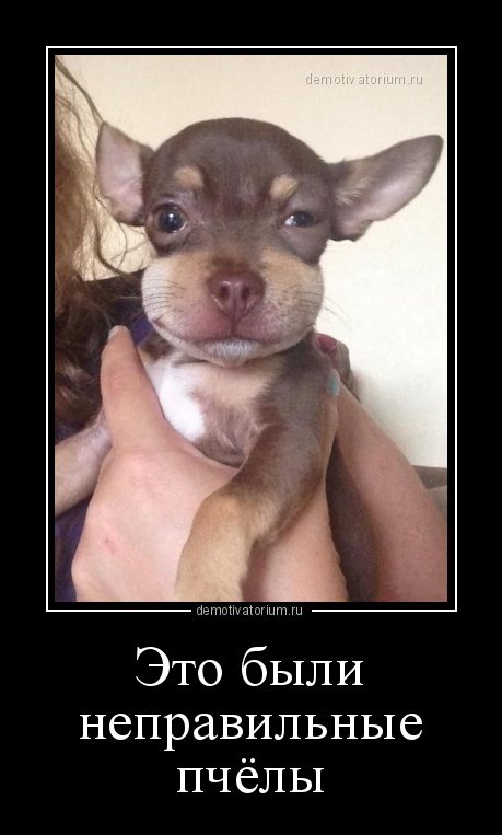 Свежая порция демотиваторов (15 шт) Свежая порция демотиваторов (15 шт)