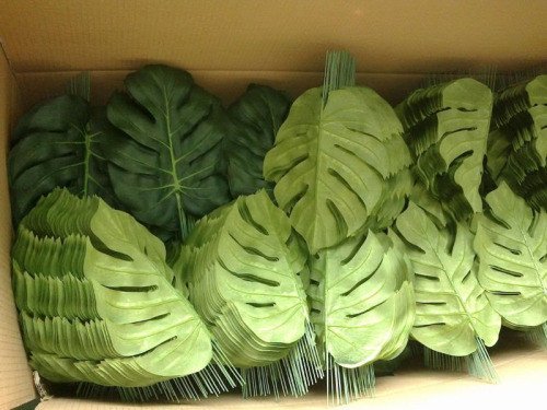 Настоящий рай для перфекционистов (18 фото) Настоящий рай для перфекционистов (18 фото)