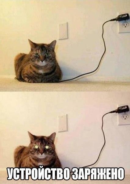 Прикольные фотомемы на Бугаге (23 шт) Прикольные фотомемы на Бугаге (23 шт)