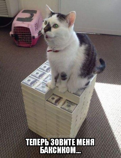 Прикольные фотомемы на Бугаге (23 шт) Прикольные фотомемы на Бугаге (23 шт)