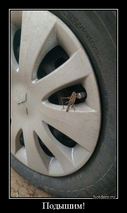 Свежие демотиваторы на любой вкус (18 шт) Свежие демотиваторы на любой вкус (18 шт)