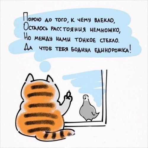 Жизненные принципы кошек (6 фото) Жизненные принципы кошек (6 фото)