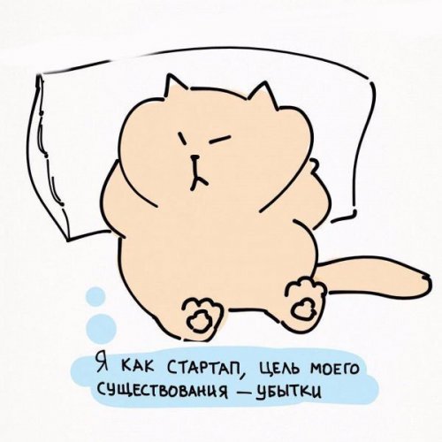 Жизненные принципы кошек (6 фото) Жизненные принципы кошек (6 фото)