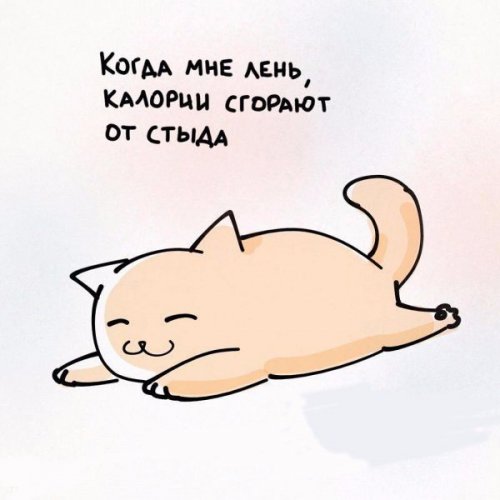 Жизненные принципы кошек (6 фото) Жизненные принципы кошек (6 фото)