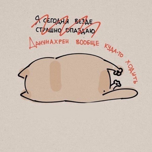 Жизненные принципы кошек (6 фото) Жизненные принципы кошек (6 фото)