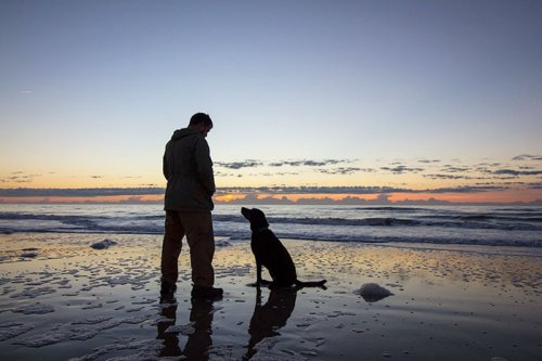 Парень отправился в прощальное путешествие с собакой, у которой диагностировали рак (13 фото)