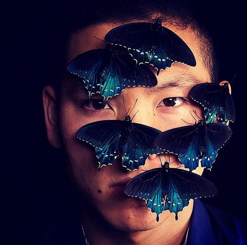 Гидробиолог из Калифорнии самостоятельно возродил популяцию почти исчезнувшего вида бабочек (9 фото)
