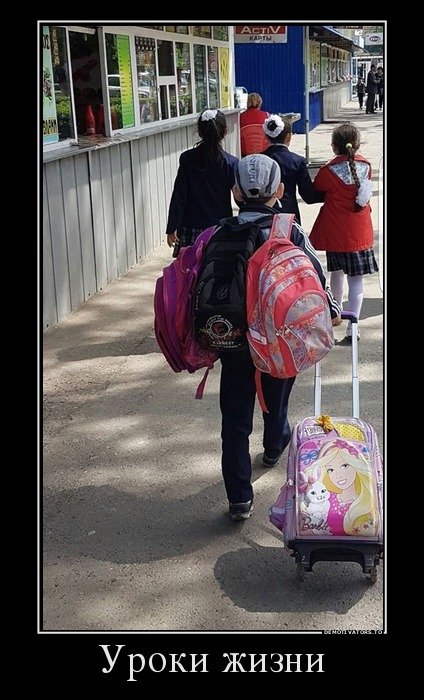 Демотиваторы-приколы (14 шт) Демотиваторы-приколы (14 шт)