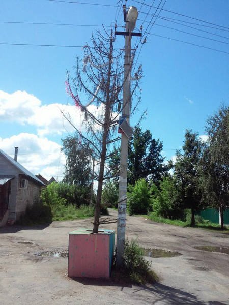 Тем временем в России (16 фото) Тем временем в России (16 фото)