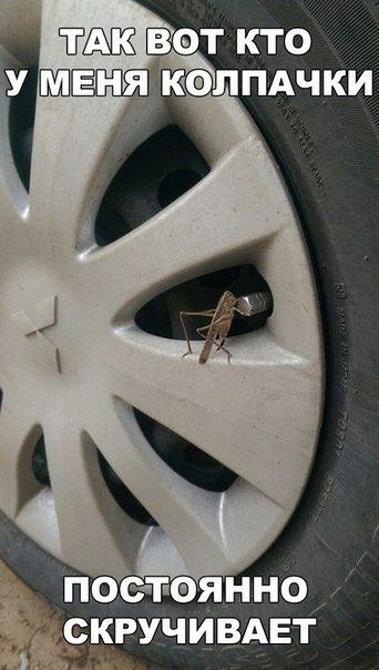 Свежие АВТОприкольные картинки (29 шт) Свежие АВТОприкольные картинки (29 шт)