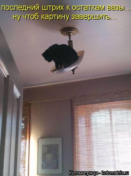 Свежая котоматрица (33 фото) Свежая котоматрица (33 фото)