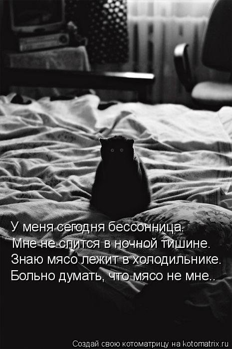 Свежая котоматрица (33 фото) Свежая котоматрица (33 фото)