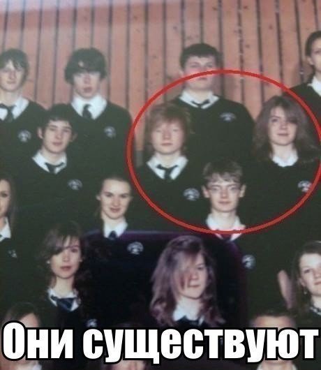 Новые прикольные фотомемы (20 шт) Новые прикольные фотомемы (20 шт)