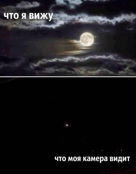 Новые прикольные фотомемы (20 шт) Новые прикольные фотомемы (20 шт)