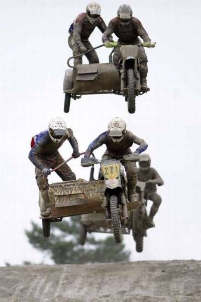 Прикольные картинки и фото (33 шт) Прикольные картинки и фото (33 шт)