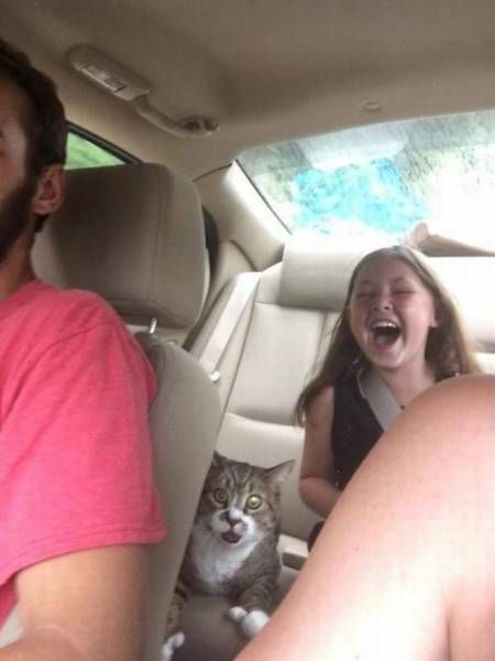 Прикольных картинок и фоток пост (50 шт) Прикольных картинок и фоток пост (50 шт)