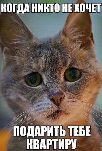 Новые фотомемы на Бугаге (24 шт) Новые фотомемы на Бугаге (24 шт)