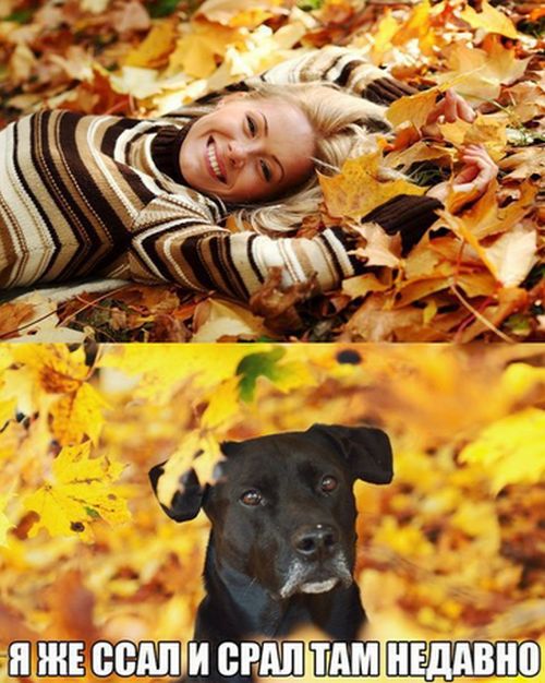 Прикольные картинки субботнего утра (29 шт) Прикольные картинки субботнего утра (29 шт)