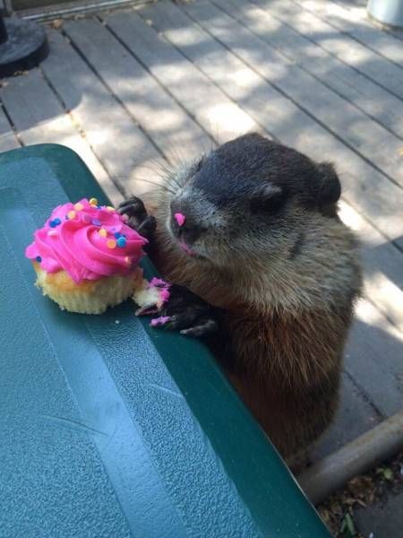 Прикольные картинки субботнего утра (29 шт) Прикольные картинки субботнего утра (29 шт)