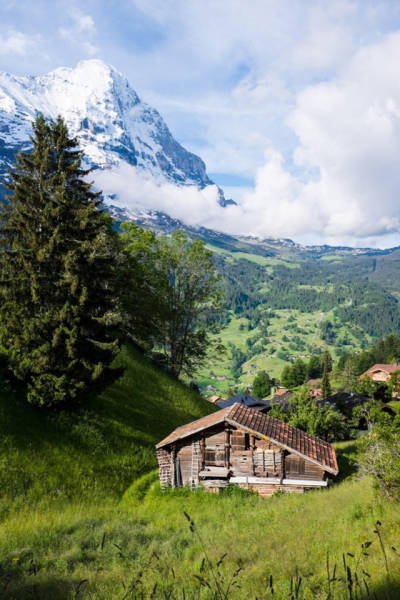 Случайные снимки, переделанные в постеры к фильмам (36 фото) Случайные снимки, переделанные в постеры к фильмам (36 фото)