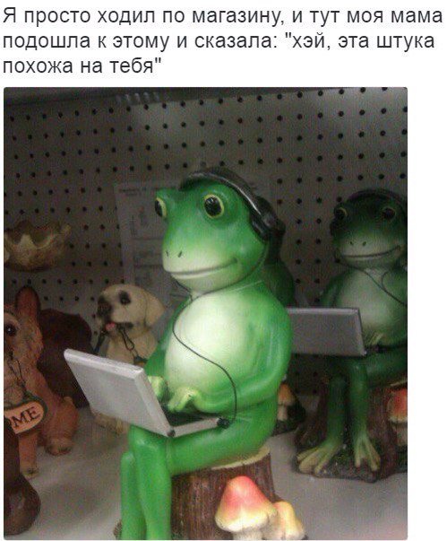 Прикольные фотомемы на любой вкус (31 шт) Прикольные фотомемы на любой вкус (31 шт)