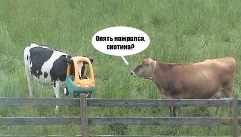 Прикольные фотомемы на любой вкус (31 шт) Прикольные фотомемы на любой вкус (31 шт)