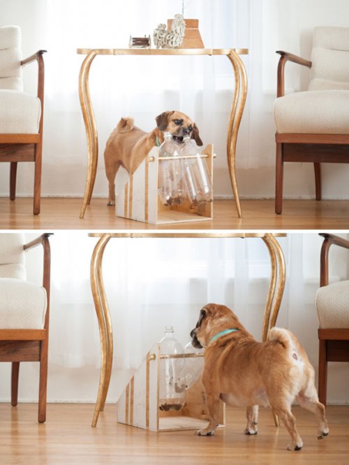 Креативные владельцы собак, которые делают для своих питомцев оригинальные вещи (27 фото)